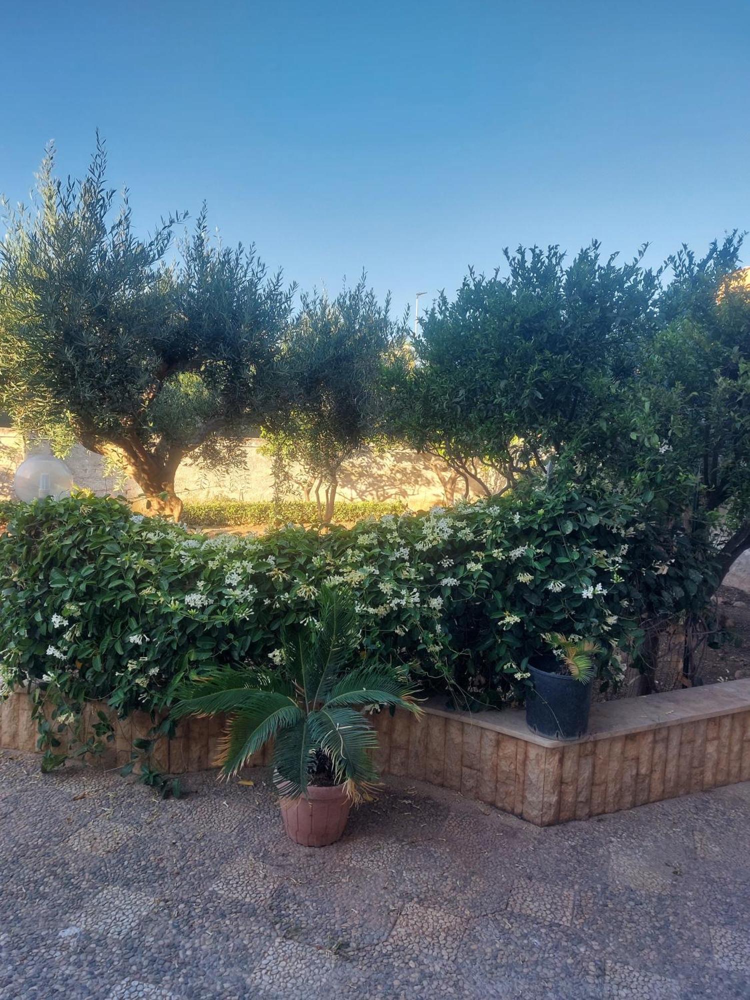 Alcantara Suites Trapani Extérieur photo